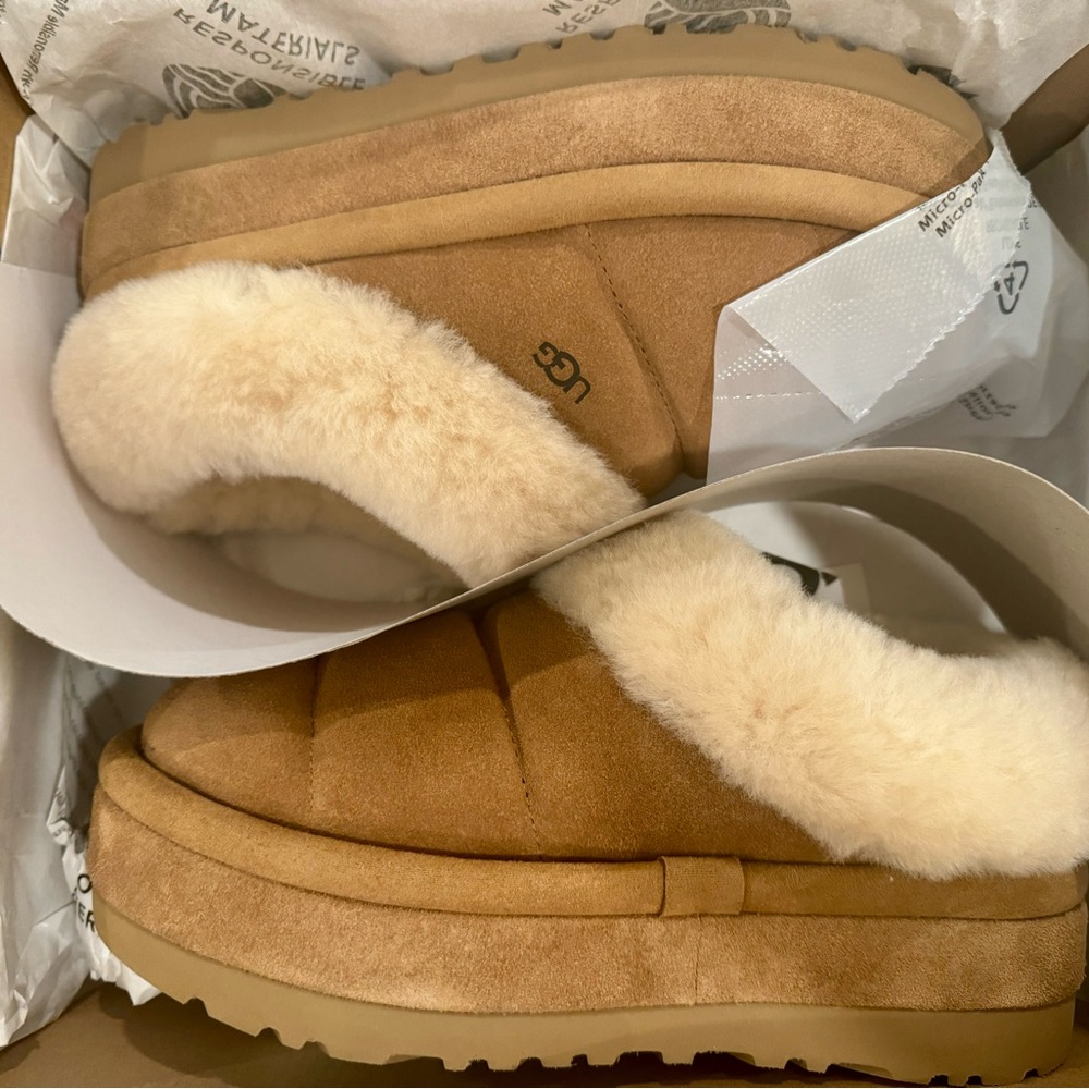 UGG NEW IN BOX TAZZLITA IN CHESTNUT 7W